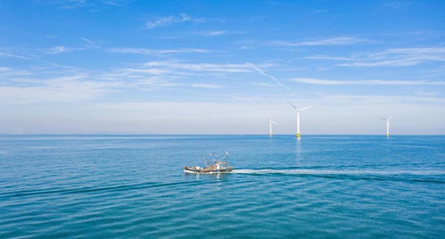 中國(guó)海上風(fēng)電再次領(lǐng)先 40層樓高風(fēng)力發(fā)電機(jī)，一臺(tái)轉(zhuǎn)動(dòng)創(chuàng)造4億元陸路國(guó)際貨運(yùn)業(yè)務(wù)