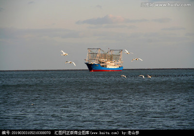 海上生輝 航空 當(dāng)海洋與天空的智慧相遇